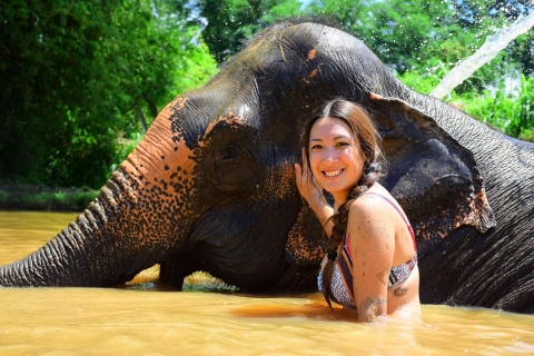 Chiang Mai: cuidado de elefantes en Elephant Retirement ParkCuidado de elefantes medio día, por la tarde