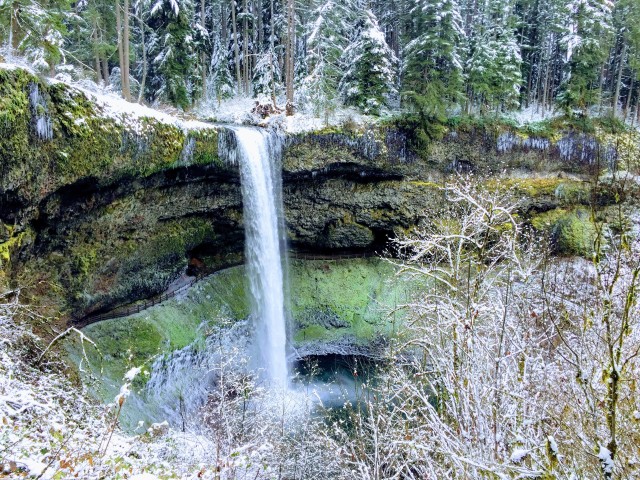 Visit Portland Silver Falls Hike in St. Helens, Oregon