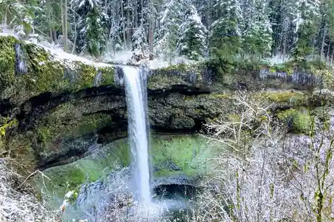 Portland: Silver Falls Hike