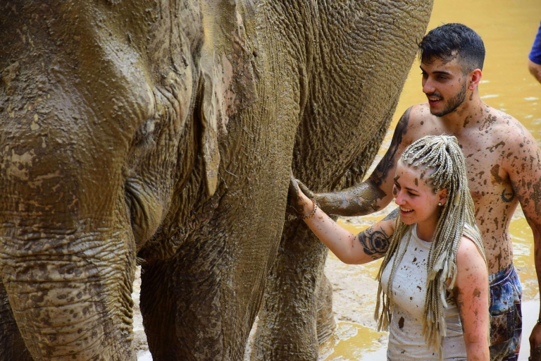 Chiang Mai: experiencia privada de cuidado de elefantes para parejas