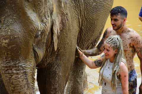 Chiang Mai: Private Elephant Care Experience for Couples