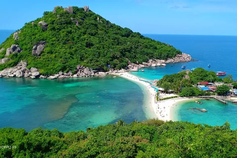 From Samui: Ko Tao and Koh Nang Yuan Speedboat Day Trip