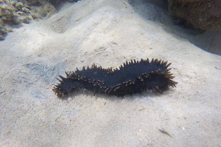 Samui: Angthong National Marine Park Day Trip by Speedboat Angthong National Marine Park - Snorkeling & Kayaking