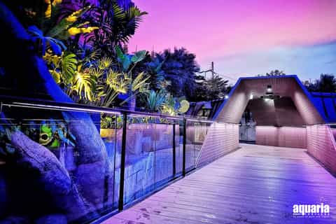 Phuket: Aquaria Phuket & Trick Eye Museum Tickets