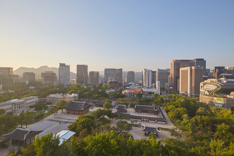 Seoul: Private & Customizable Guided Tour 4-Hour Private Tour for Groups