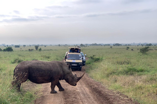 Day Trips and Tours from Nairobi