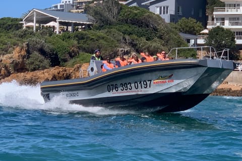 Knysna Coastline Speedboat Tour