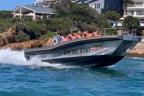 Knysna Coastline Speedboat Tour