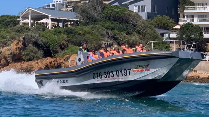 knysna coastline speedboat tour