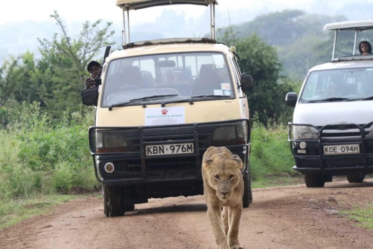 Nairobi: National Park, Baby Elephant, & Giraffe Center Tour Nairobi National Park Half-Day Game Drive Private Tour