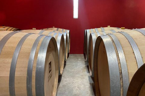 Visite guidée du Domaine &amp; Dégustation de vins