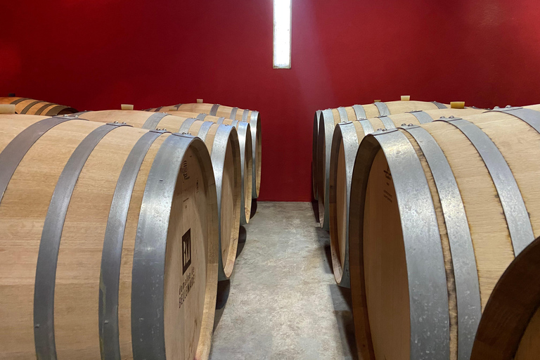 Visite guidée du Domaine &amp; Dégustation de vins