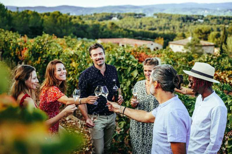 Von Nizza aus: Ganztagestour durch die Weinprovence