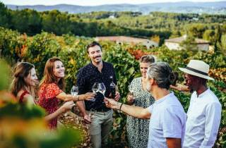 Provence Wein Tour - Private Tour ab Nizza