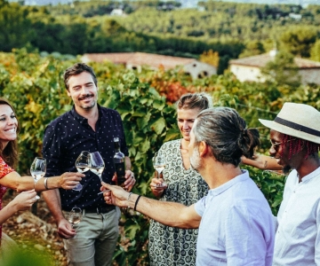 Vanuit Nice: Wijnprovence dagvullende tour