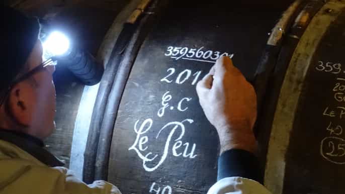bordeaux cognac terroir and distillery day tour