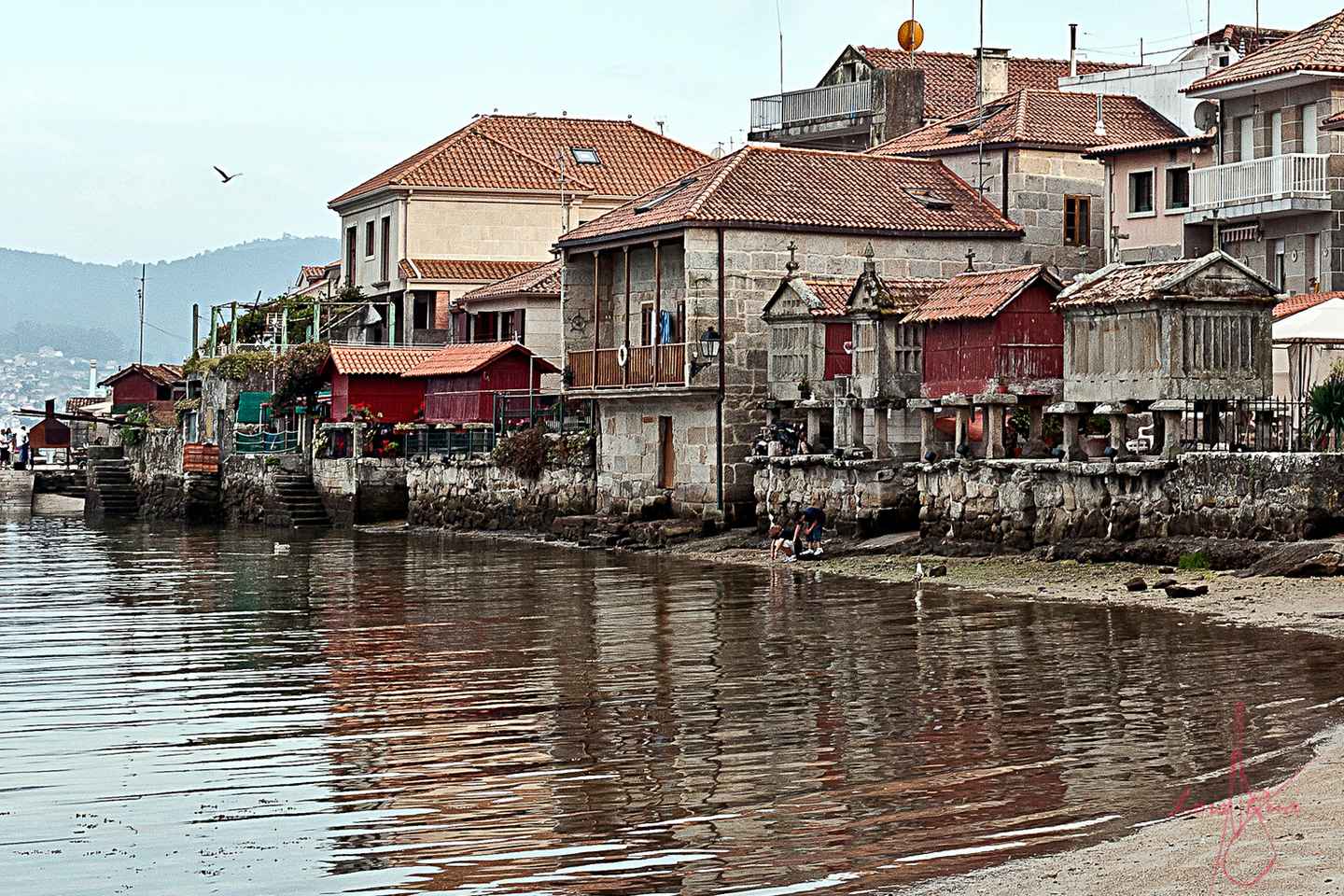圣地亚哥出发：里亚斯海湾游船酒庄之旅