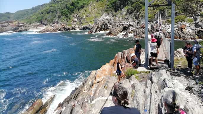 de port elizabeth tsitsikamma walks and activities tour