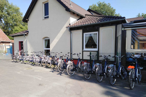 Mainz E-bike stadsrondleiding