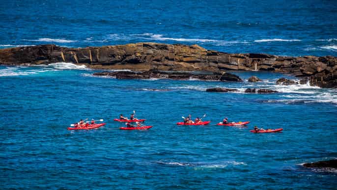 tsitsikamma national park storms river kayak and lilo tour