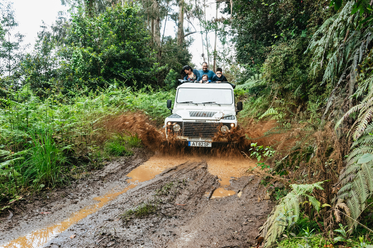 Funchal: Porto Moniz, Foresta di Fanal e Cabo Girao Jeep TourTour condiviso