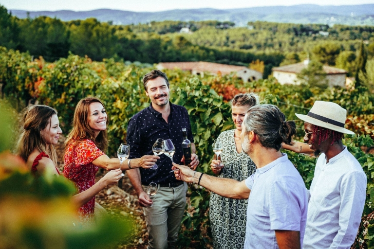 Cannes: Provence Wine Tour - Private Tour from Cannes Private Tour