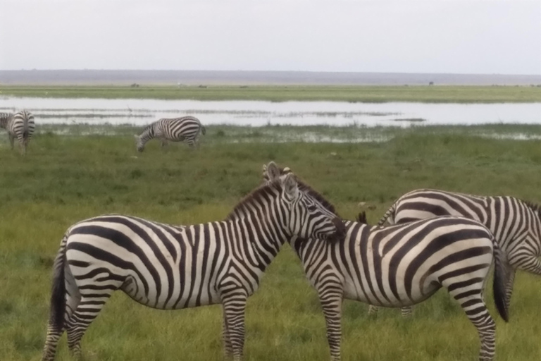 Nairobi: 3-Day Naivasha Wildlife & Flower Farm Tour