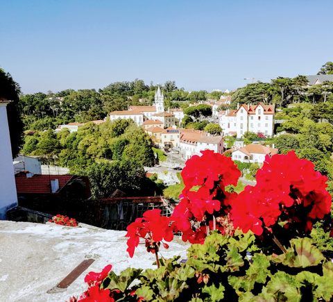 Tours por parques y jardines