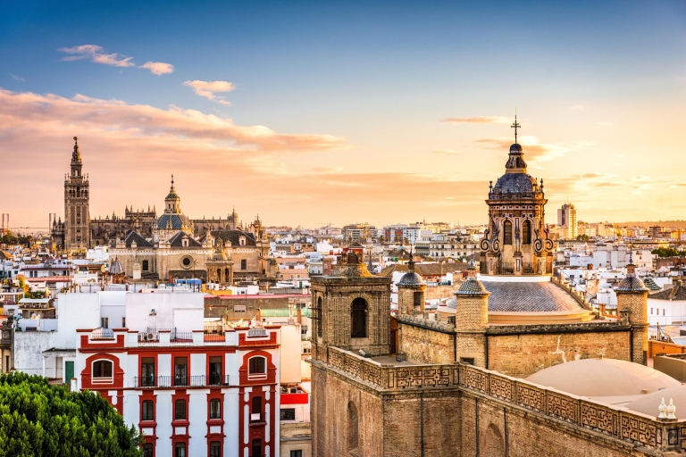 Séville : visite guidée cathédrale, Giralda et AlcazarVisite de groupe en espagnol