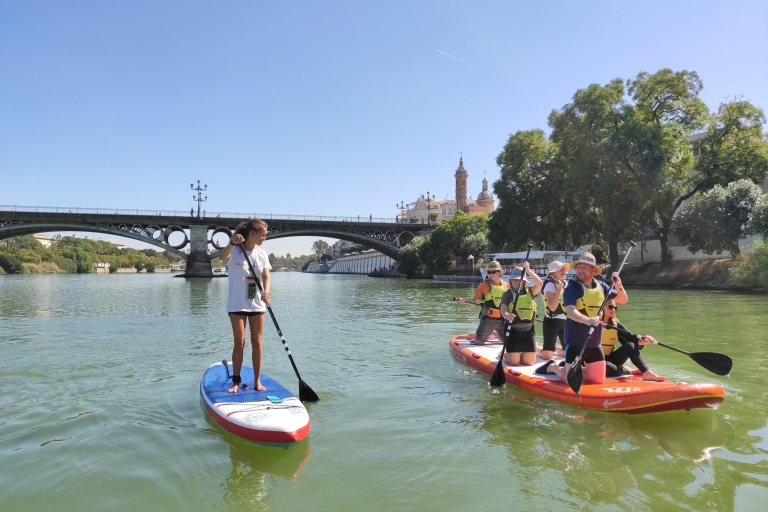 Séville: Session de Paddle Boarding en Groupe