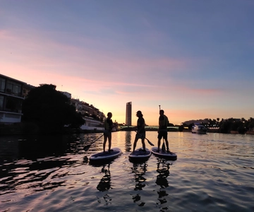 Seville: Sunset and Evening Paddle Boarding Tour