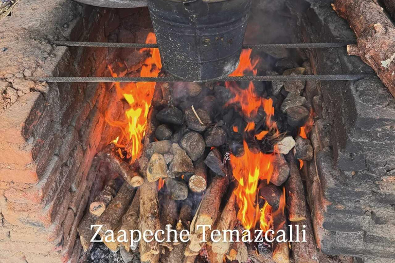 From Oaxaca: Temazcal Ceremony with Guide