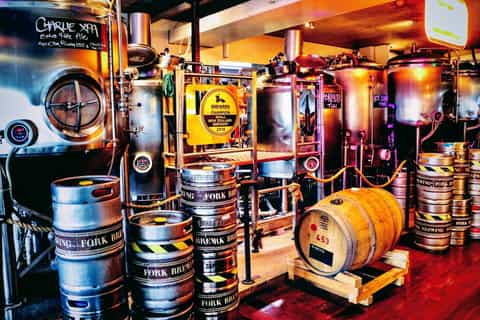 Wellington: All-Inclusive Craft Beer Brewery Tour