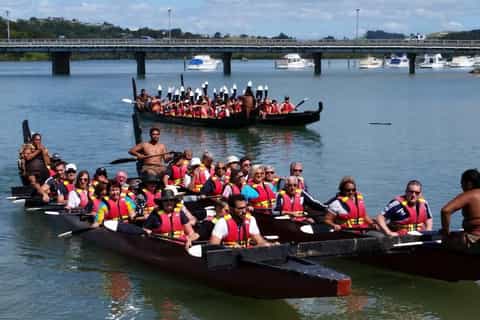 Waitangi: Traditional Maori Waka River Tour & Treaty Grounds