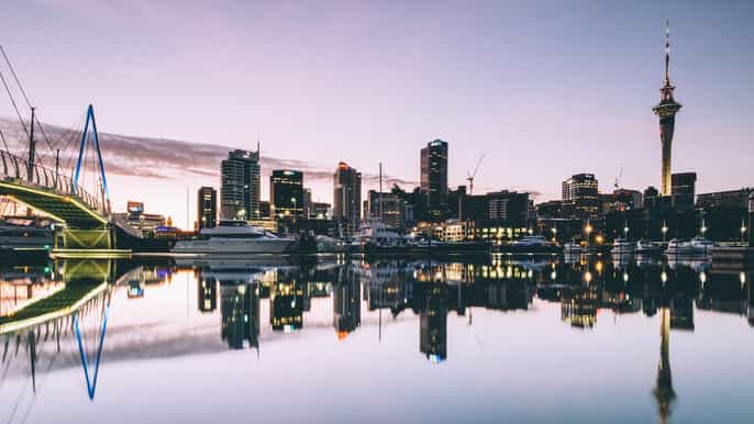 auckland to paihia oneway bus transfer