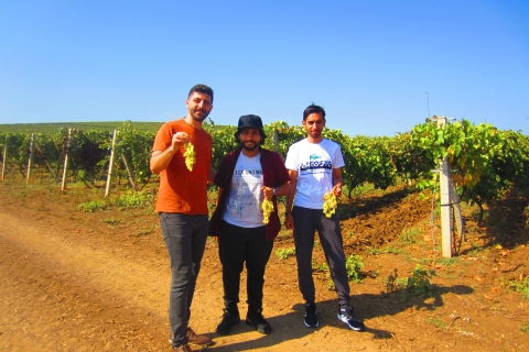 Baku: Granatapfelwein-Tour nach Aghsu mit lokalem Mittagessen