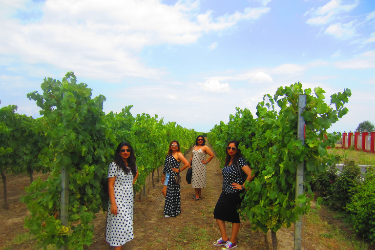 Baku: Qabala Winery Tour with Local Lunch