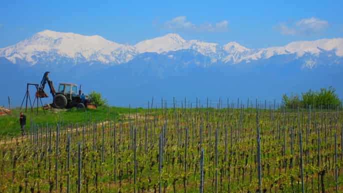 baku qabala winery tour with local lunch