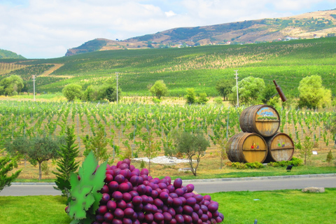 Bakú: tour de 2 días por 3 bodegas con estadía en casa de huéspedes y comidas