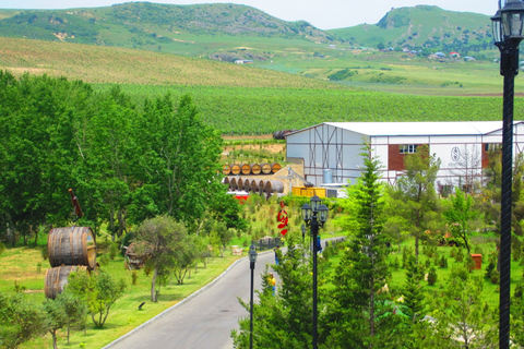 Baku: Organic Winery Tour in Shamakhi met lokale lunch