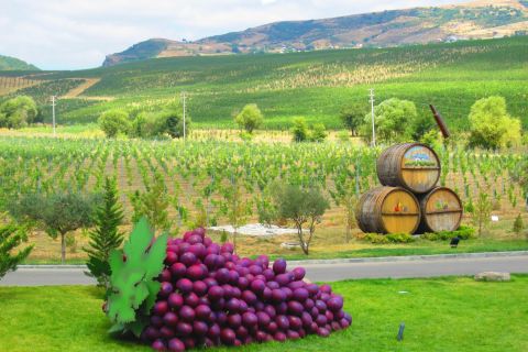 Баку: органический винный тур в Шамахах с местным обедом