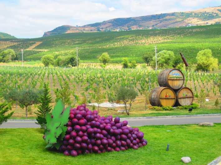 Baku: Organic Winery Tour in Shamakhi with Local Lunch
