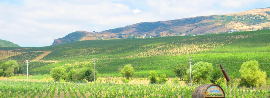 Bakou : Visite d'un vignoble biologique à Shamakhi avec déjeuner local