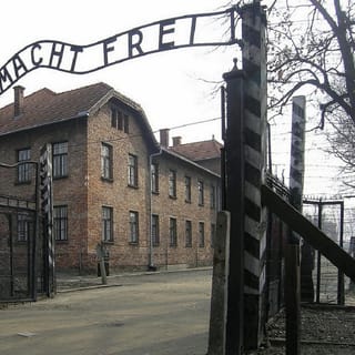 Katowice: Auschwitz and Krakow Old Town Private Guided Tour
