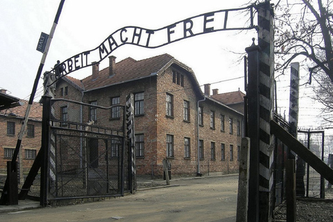 Auschwitz-Birkenau and Krakow Private Car Trip from Katowice6-hour: Auschwitz-Birkenau from Katowice