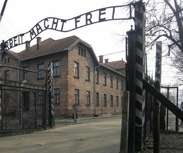 Auschwitz-Birkenau and Krakow Private Car Trip from Katowice