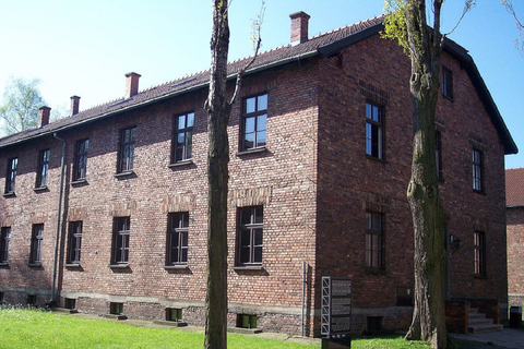 Excursion en voiture privée à Auschwitz-Birkenau et Cracovie depuis Katowice12 heures : Auschwitz-Birkenau et Cracovie depuis Katowice