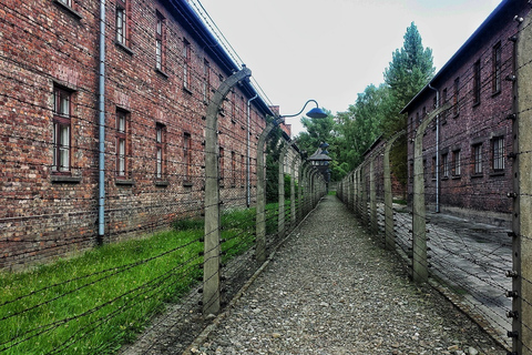 Auschwitz-Birkenau y Cracovia en coche privado desde Katowice6 horas: Auschwitz-Birkenau desde Katowice