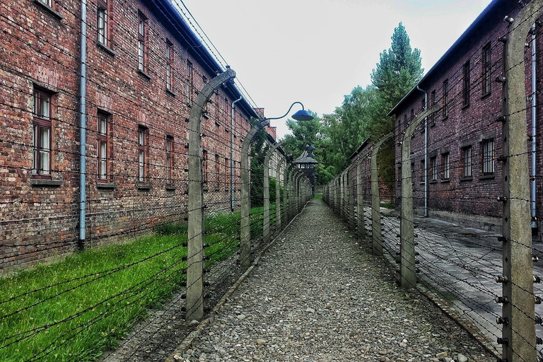 Auschwitz-Birkenau e Cracovia Viaggio in auto privato da Katowice6 ore: Auschwitz-Birkenau da Katowice