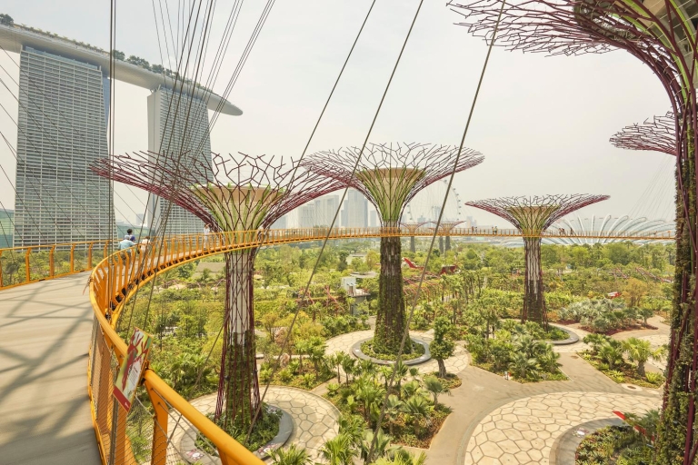 Singapur: E-bilet wstępu do ogrodów „Gardens by the Bay”Bilet wstępu na kwiatową fantazję